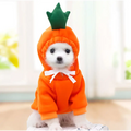 Orange carrot-themed hooded sweater for dogs with green leafy top and white bow tie in fruit dog clothes for small dogs hoodies
