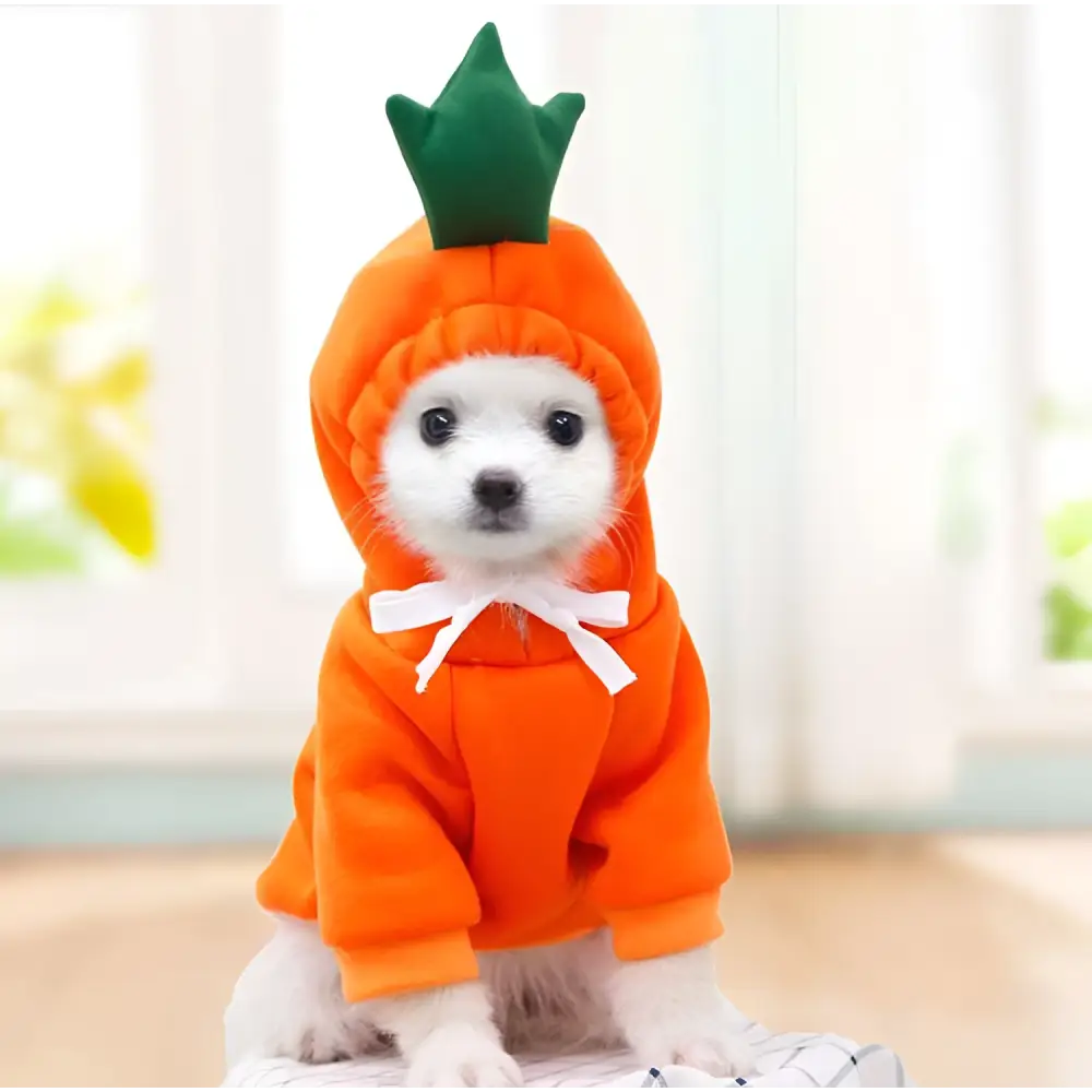 Orange carrot-themed hooded sweater for dogs with green leafy top and white bow tie in fruit dog clothes for small dogs hoodies