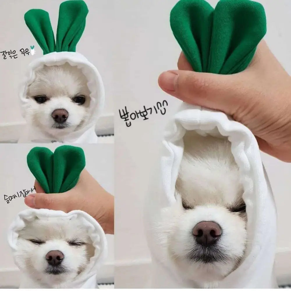 White plush carrot costume with green fabric leaves for small dogs hoodies in frog plush fruit dog clothes collection