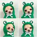 Green frog plush fruit dog clothes hoodie with white bow tie for small dogs hoodies in soft fabric
