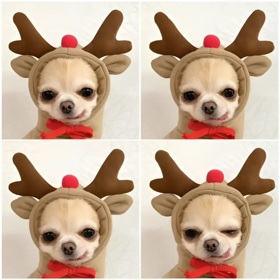 A tan chihuahua wearing a brown reindeer antler hat and red bow tie modeling frog plush fruit dog clothes for small dogs hoodies