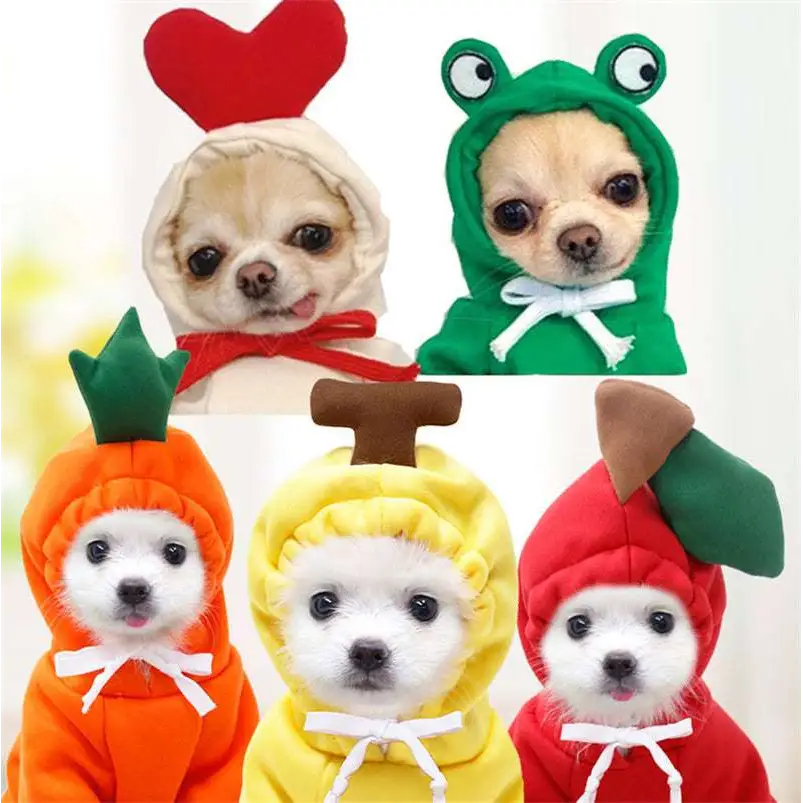 Adorable plush animal fruit dog clothes featuring frog plush fruit and colorful small dogs hoodies with hoods