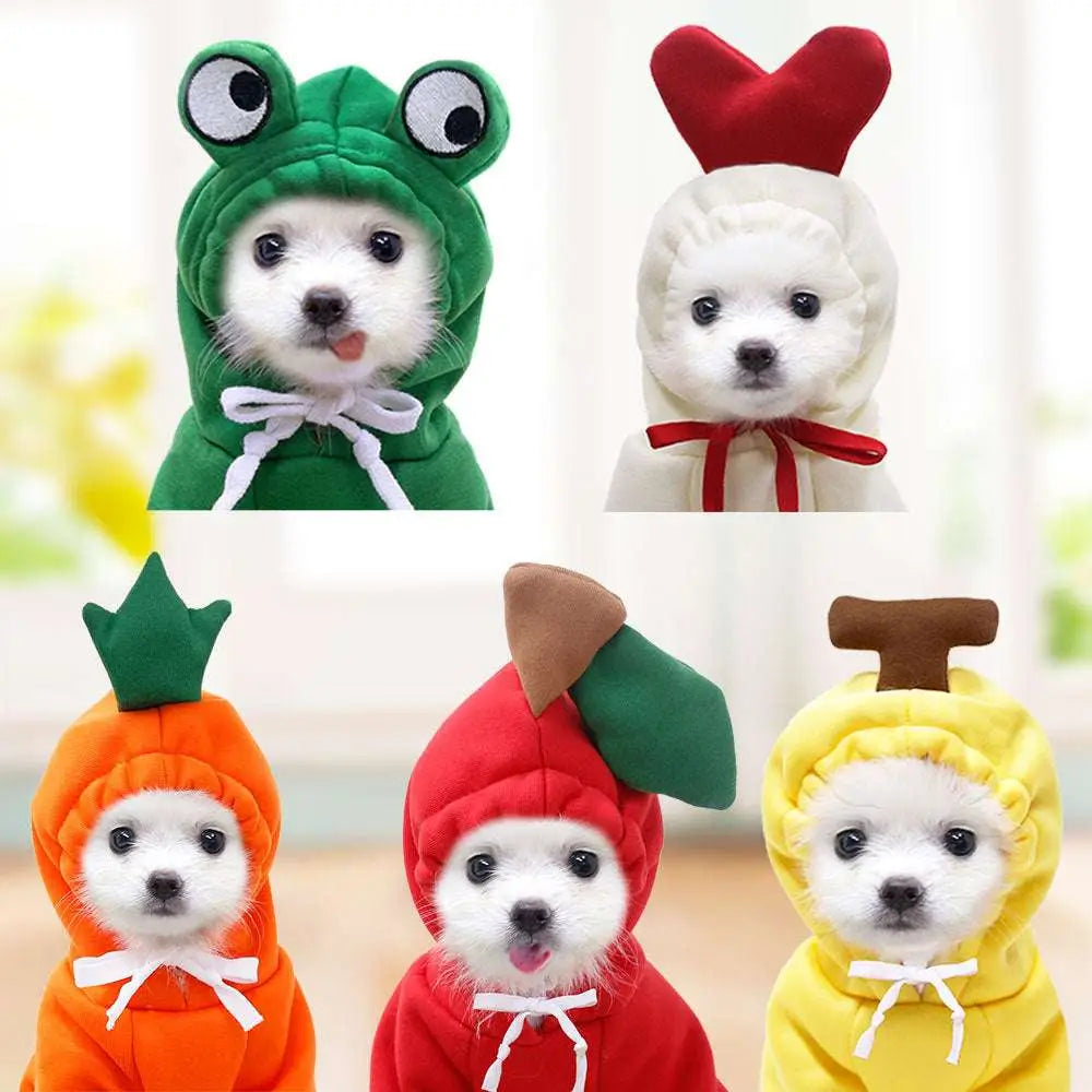 Adorable white puppies wearing colorful frog plush fruit dog clothes and small dogs hoodies in various fruit designs