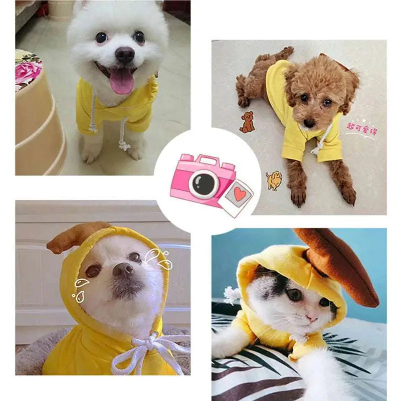Yellow hooded frog plush fruit dog clothes for small dogs hoodies with brown ear-like attachments and white ties