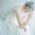 A delicate golden shiny big veil made of white sheer fabric with scattered star-shaped embellishments