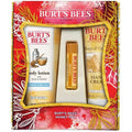 Burts bees honey pot holiday gift set with body lotion hand cream and lip balm in festive red and gold box
