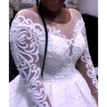 White lace sleeve wedding gown plus size illusion with intricate floral embroidery and sheer long sleeves