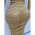 A sheer nude luxury shiny rhinestone dress adorned with gold beaded rectangular and circular rhinestones