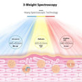 Diagram of multifunctional facial massager led beauty mask showing 3-weight spectroscopy with blue yellow and red beams targeting skin concerns