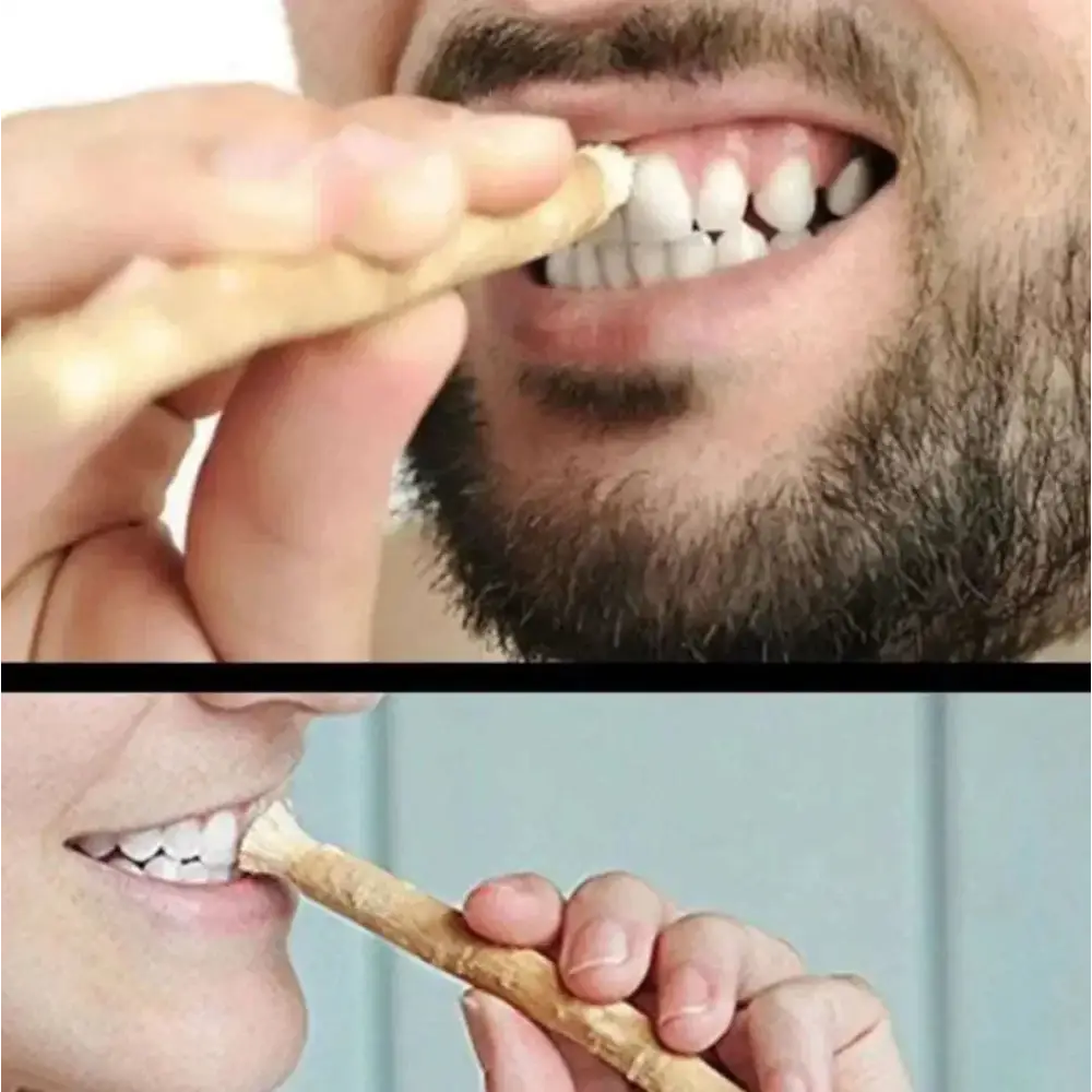 Natural miswak tooth cleaning stick made of wood with a slightly textured surface and rounded ends for effective use