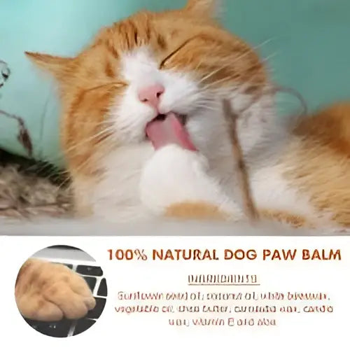 Natural pet foot care cream paw rescue natural with sunflower seed oil and coconut oil to relieve cracking in a small container