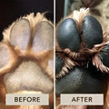 Before and after comparison of dog paws treated with natural pet foot care cream to relieve cracking and paw rescue natural effects