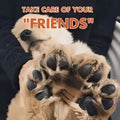 A fluffy tan puppy’s paws with black pads resting on dark fabric illustrating paw rescue natural claw balm to relieve cracking