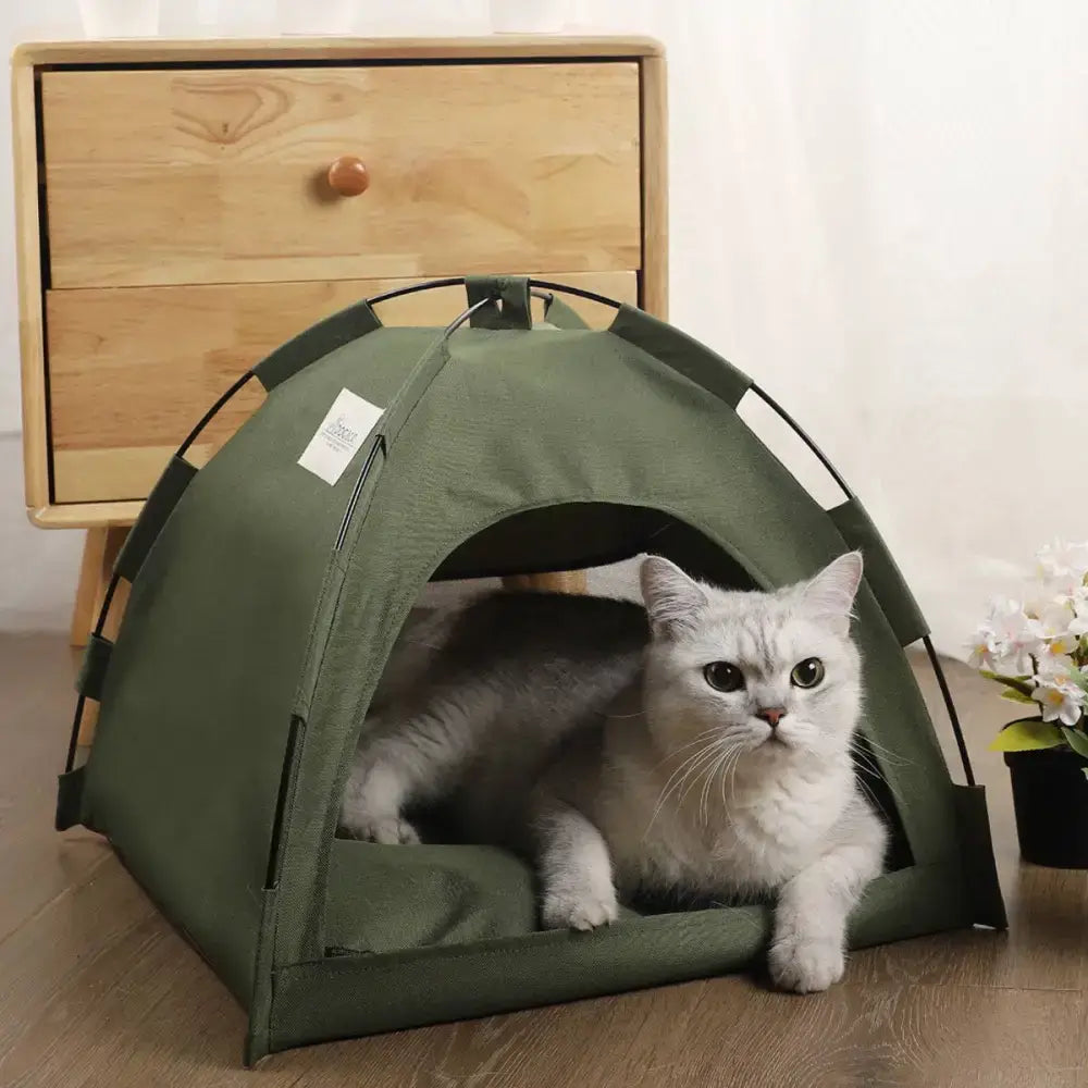 olive green fabric cat tent with a cozy dome-shaped design and reinforced black metal frame featured on royalessencelux titanium steel jewelry and collection highlights page.