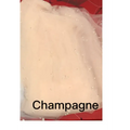 Pearl wedding veil made of champagne-colored tulle with delicate beading for long bridal cathedral use