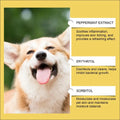 A cheerful tan and white corgi with its tongue out promoting a pet skin care herbal yeast supplement for healthy fur