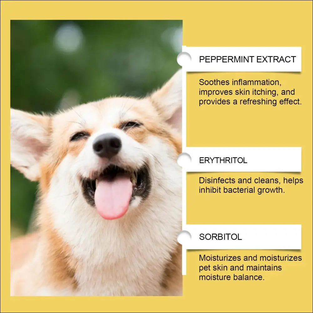 A cheerful tan and white corgi with its tongue out promoting a pet skin care herbal yeast supplement for healthy fur