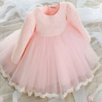 Delicate pink lace princess dress girls long sleeve with lace detailing and voluminous tulle skirt perfect for summer