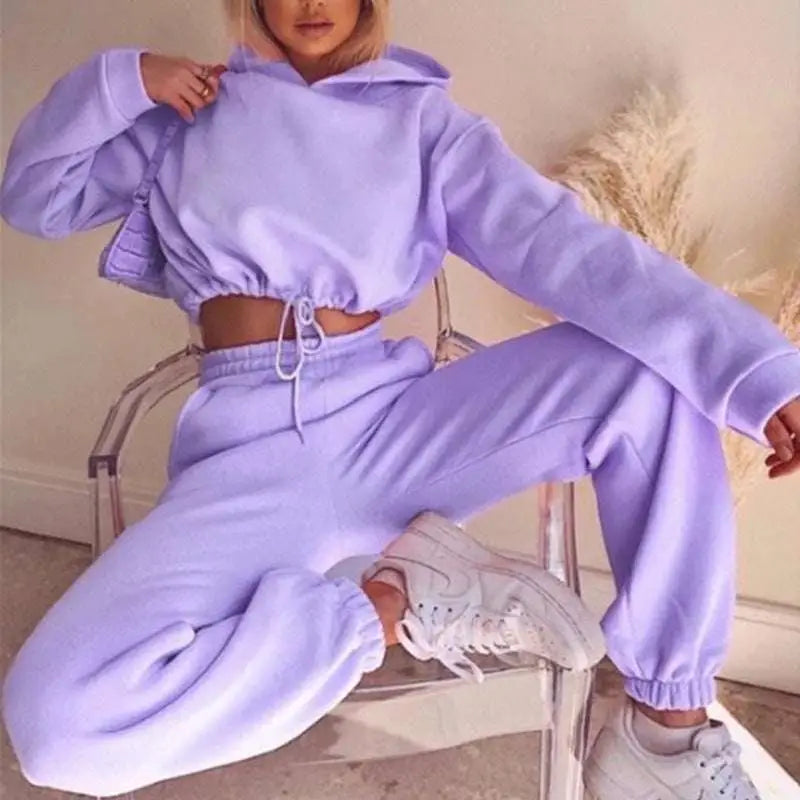 Lavender pink piece sweatsuits set featuring a sexy cropped set with a cropped hoodie and matching sweatpants