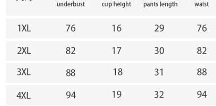 Plus Size Fat Woman Underwear Lace See - through Bra T - back Two - piece Suit - Royalessencelux