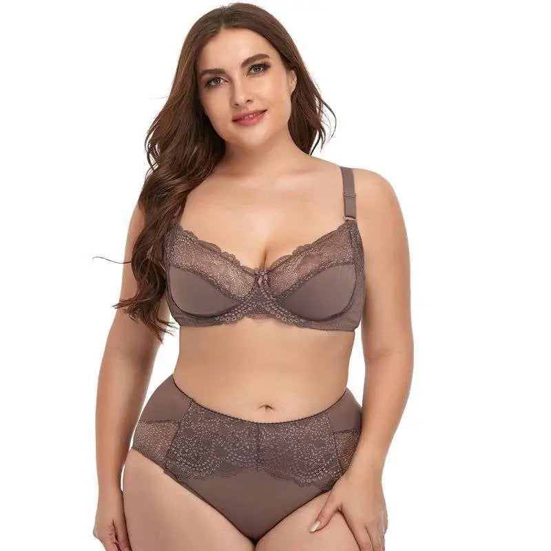 Brown plus size underwire lace trim lingerie set featuring a lace bra and matching high-waisted panties