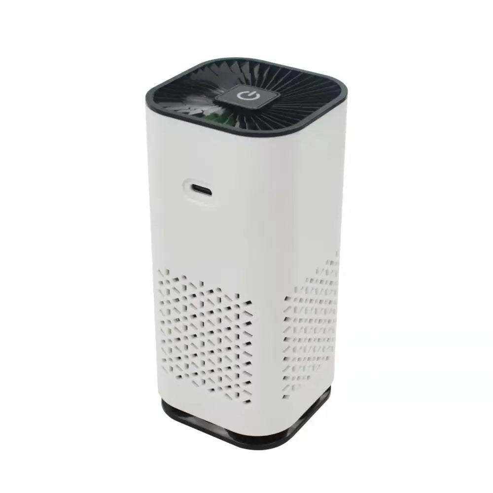 White cylindrical portable car air purifier with black top and base featuring power button and negative ion generator