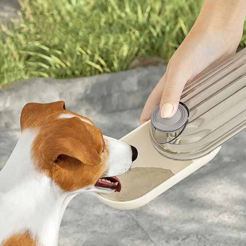 Portable green dog walking pet water cup made of transparent plastic with gray cap and ridged handle for easy walking pet water use