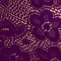 Purple plus size lace bodysuit featuring a plus size sexy textured patterned fabric for elegant sleepwear use