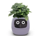 Purple robot smart planter with black face, large white eyes, and lush green variegated leaves for plant care