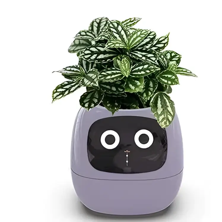 Purple robot smart planter with black face and silver nose holding lush green variegated leaves for plant care