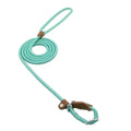 A mint green nylon pup set leash with braided rope design brown leather loops and metal clasp for dogs