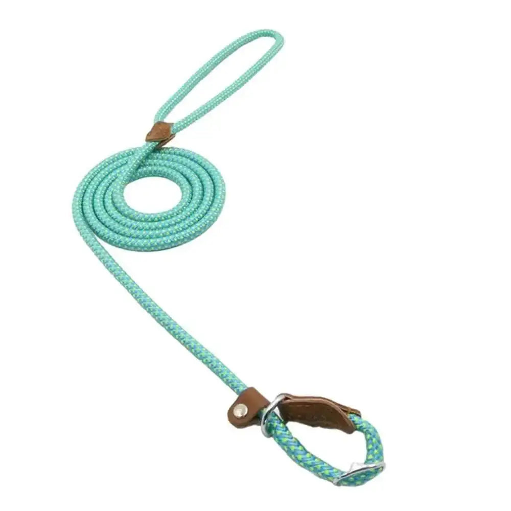 A mint green nylon pup set leash with braided rope design brown leather loops and metal clasp for dogs