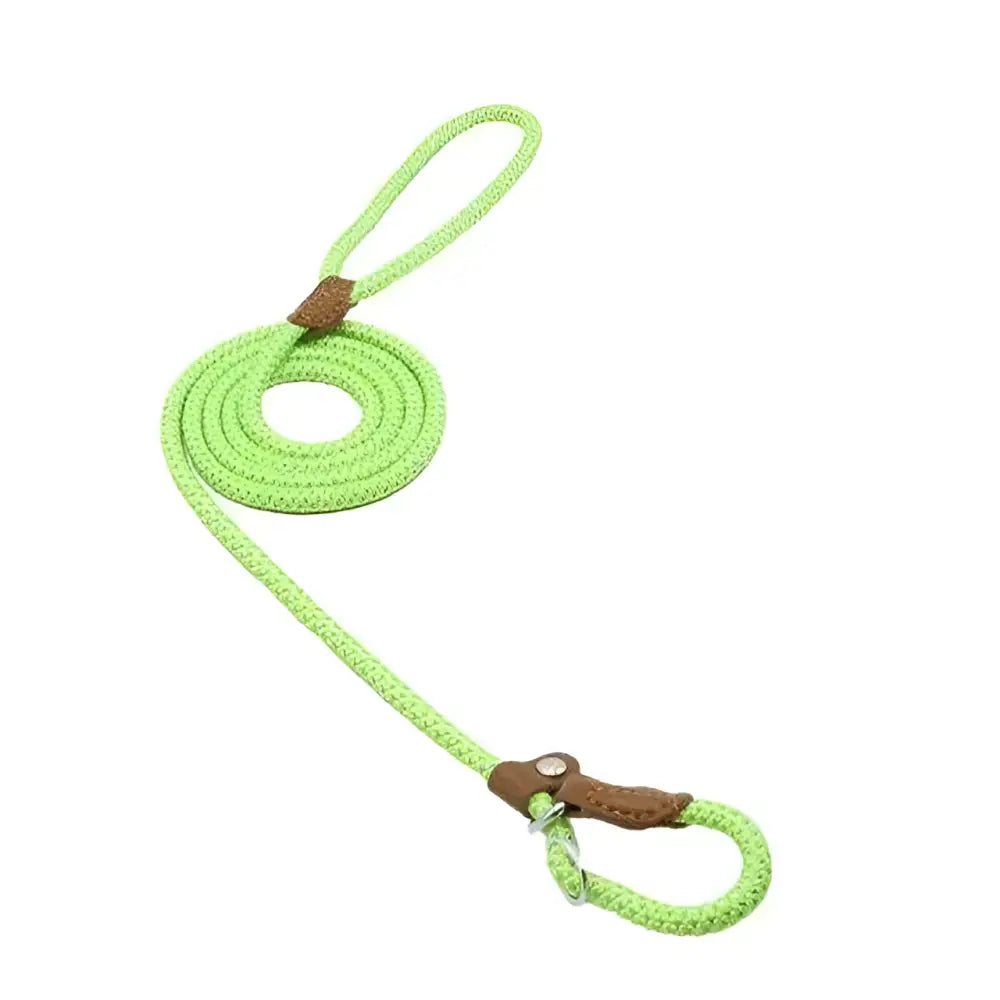 Bright lime green braided rope leash with leather loops and metal hardware from a red braided rope nylon pup set