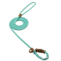 A mint green nylon pup set braided rope leash with leather loops and a metal clasp for secure pet control