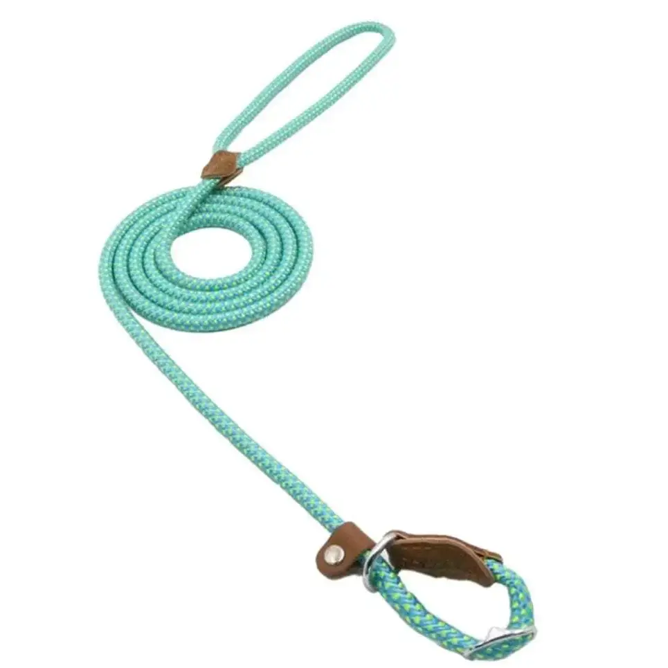 A mint green nylon pup set braided rope leash with leather loops and a metal clasp for secure pet control