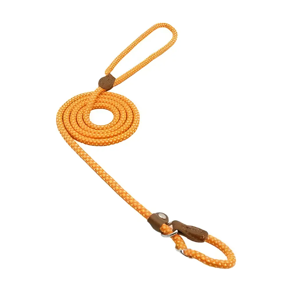 Orange braided rope nylon pup set leash with leather loops and metal clasp for durable pet handling