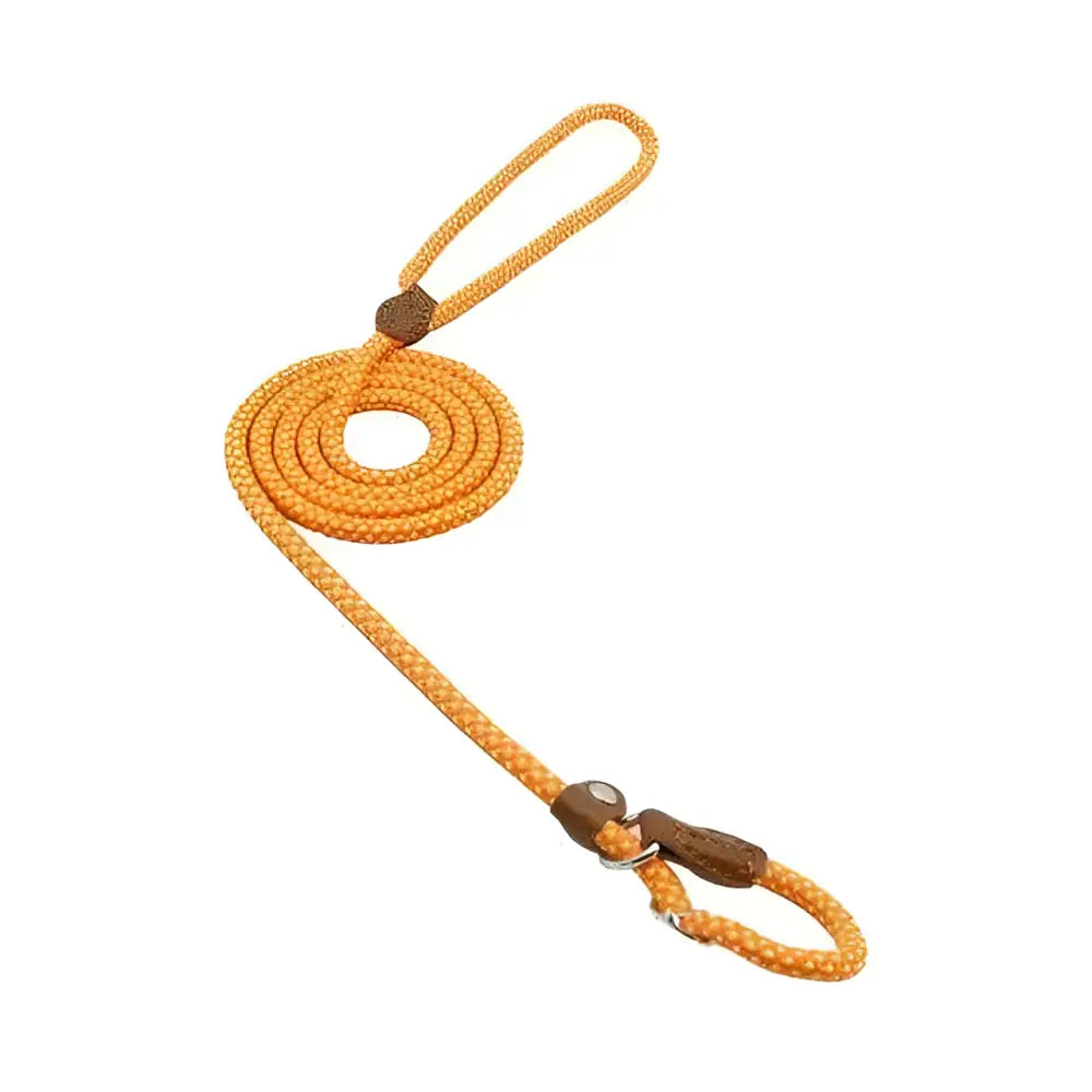 Orange braided rope leash with brown leather loops and metal clasp from red braided rope nylon pup set