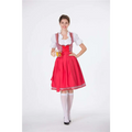 Red and white checkered dirndl dress with fitted bodice puffed sleeves and full skirt for german beer festival clothing
