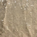 Rose gold sequined beige fabric with subtle textured pattern for a large bridesmaid dress banquet gown