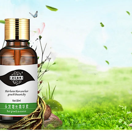 Hair Care Scalp Liquid Hair Care Nutrient Solution - Royalessencelux