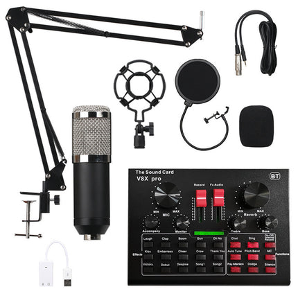 Microphone Recording Condenser Microphone Set - Royalessencelux