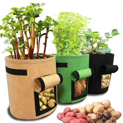 Planting bag Potato - Royalessencelux