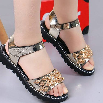 Student Sandals Korean Version Of Fish Mouth Princess Shoes - Royalessencelux