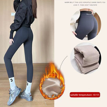 Fleece Thickened Leggings Winter -20 To 5 Shark Pants For Women High Waist Tight Skinny Tummy Control Buttocks Slimming Yoga Pants - Royalessencelux