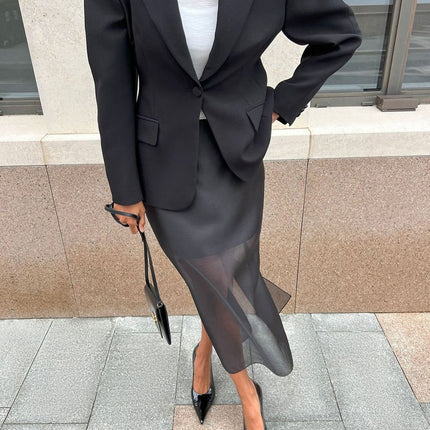 Black Mesh See-through High Waist Slit Sheath Skirt - Royalessencelux