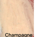 Champagne / 300cm