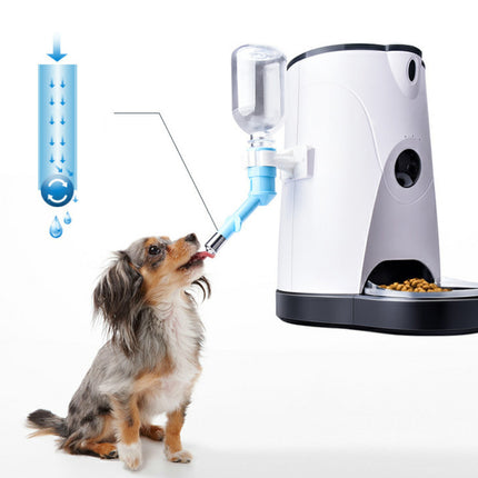 Pet automatic feeder - Royalessencelux