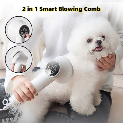 Smart Pet Hair Dryer Dog Golden Retriever Cat Grooming Hairdressing Blow & Comb Silent No Harm Pet Cleaning Supplies Pet Products - Royalessencelux