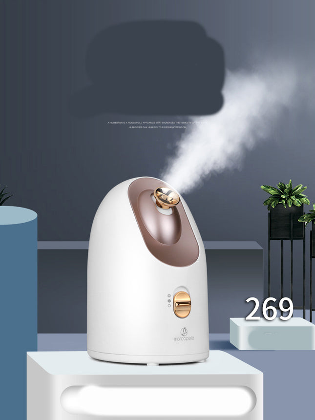 Hot and cold face steamer - Royalessencelux