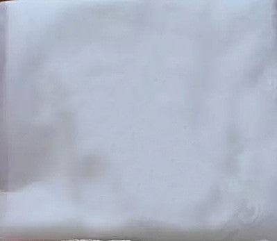 Princess Bride Mermaid Wedding Dress White Trailing Perspective Backless Lace Wedding Dress - Royalessencelux